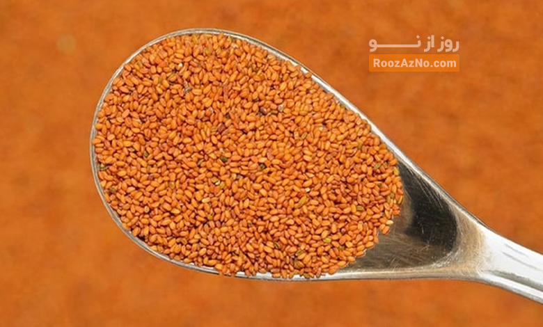 خاکشیر